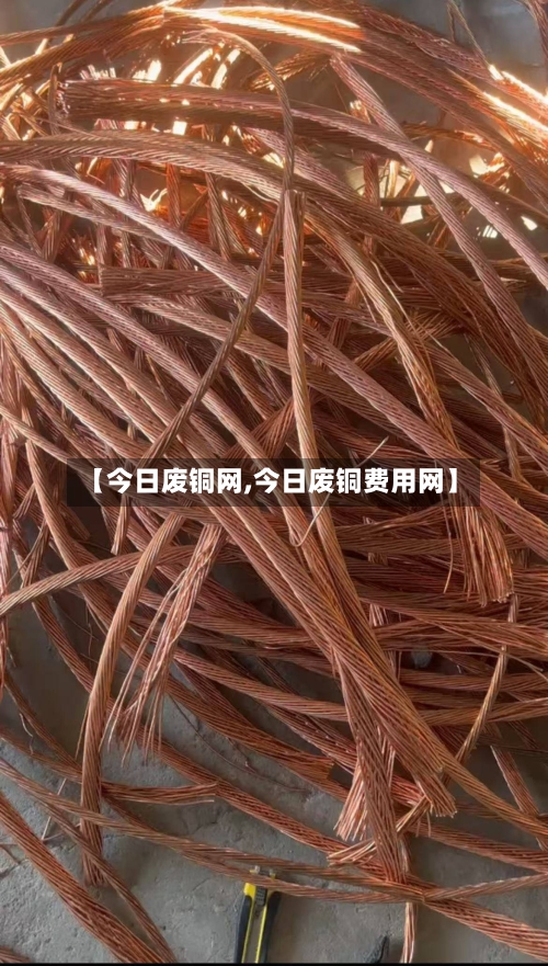 【今日废铜网,今日废铜费用网】-第3张图片