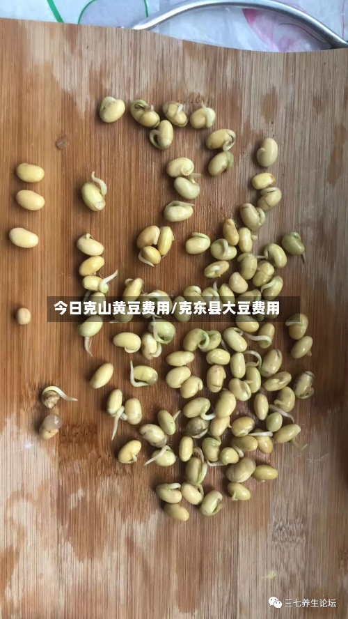 今日克山黄豆费用/克东县大豆费用-第2张图片