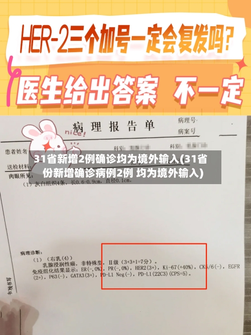 31省新增2例确诊均为境外输入(31省份新增确诊病例2例 均为境外输入)