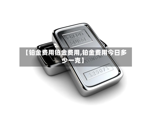 【铂金费用铂金费用,铂金费用今日多少一克】-第3张图片