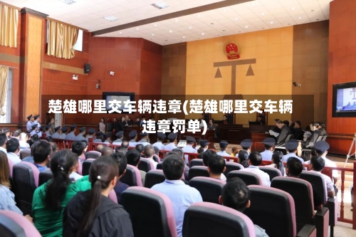 楚雄哪里交车辆违章(楚雄哪里交车辆违章罚单)