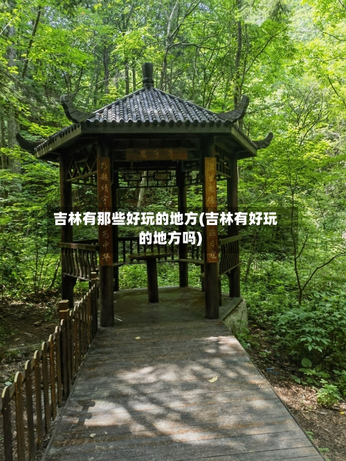吉林有那些好玩的地方(吉林有好玩的地方吗)