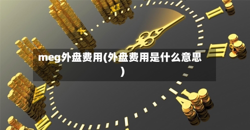 meg外盘费用(外盘费用是什么意思)-第3张图片