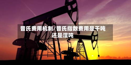 普氏费用机制/普氏指数费用是干吨还是湿吨