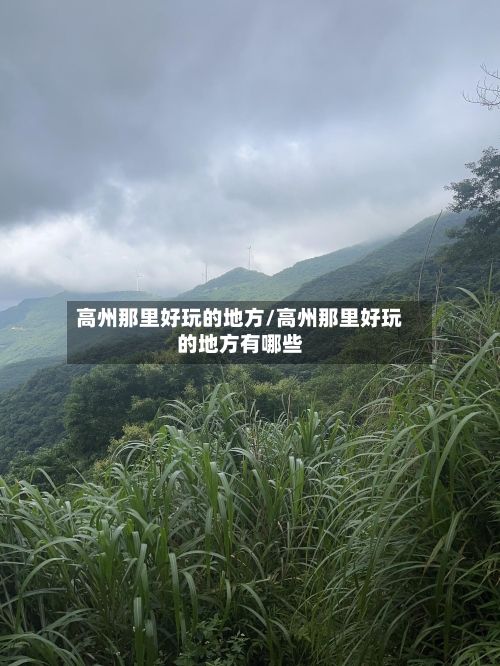 高州那里好玩的地方/高州那里好玩的地方有哪些-第3张图片