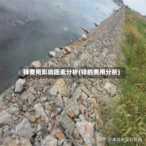 锌费用影响因素分析(锌的费用分析)-第2张图片