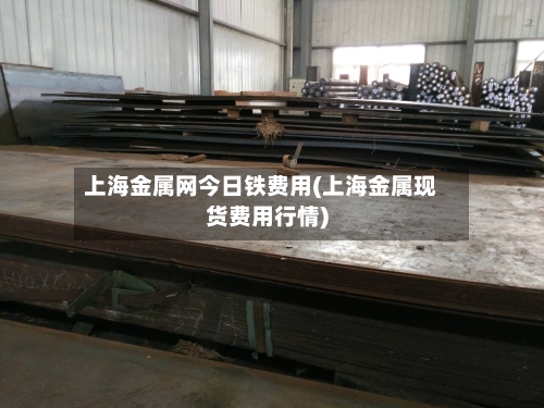 上海金属网今日铁费用(上海金属现货费用行情)
