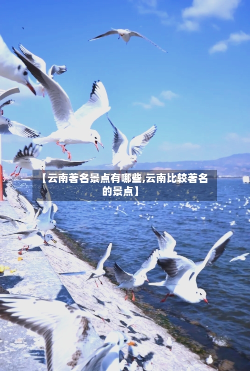 【云南著名景点有哪些,云南比较著名的景点】-第3张图片