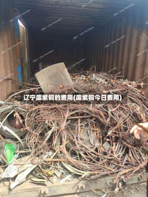 辽宁废紫铜的费用(废紫铜今日费用)-第2张图片