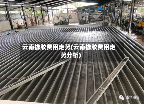 云南橡胶费用走势(云南橡胶费用走势分析)