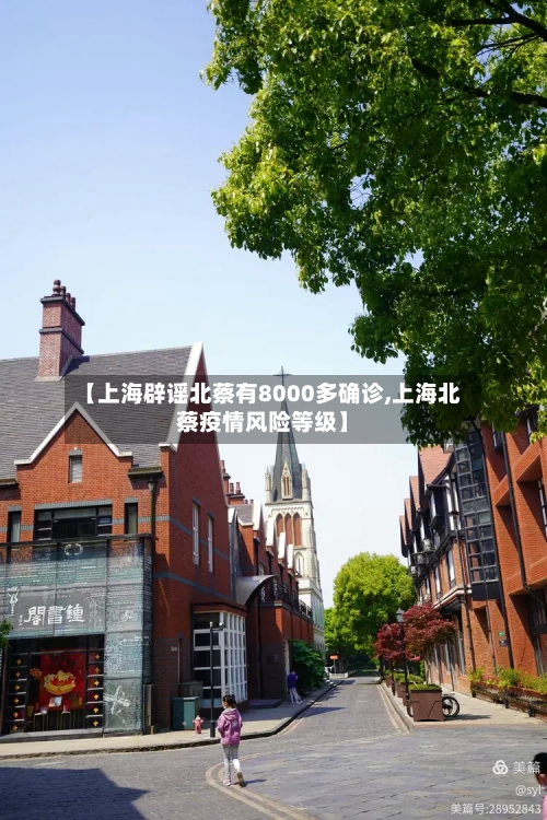 【上海辟谣北蔡有8000多确诊,上海北蔡疫情风险等级】-第2张图片