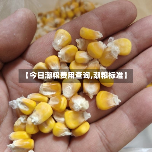 【今日潮粮费用查询,潮粮标准】-第2张图片