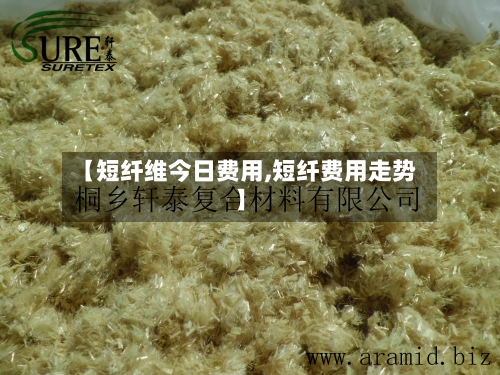 【短纤维今日费用,短纤费用走势】