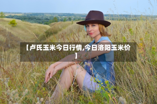 【卢氏玉米今日行情,今日洛阳玉米价】