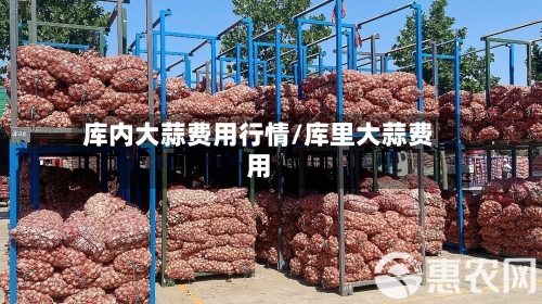 库内大蒜费用行情/库里大蒜费用
