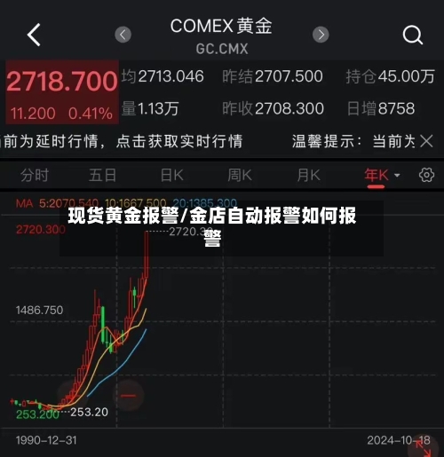 现货黄金报警/金店自动报警如何报警-第3张图片