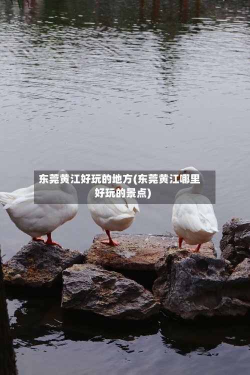 东莞黄江好玩的地方(东莞黄江哪里好玩的景点)-第2张图片