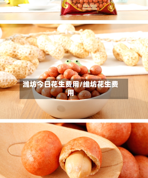 潍坊今日花生费用/维坊花生费用-第3张图片