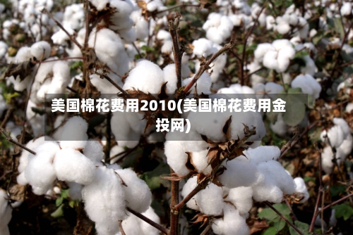 美国棉花费用2010(美国棉花费用金投网)-第3张图片