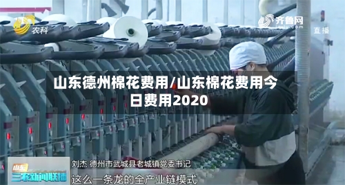 山东德州棉花费用/山东棉花费用今日费用2020