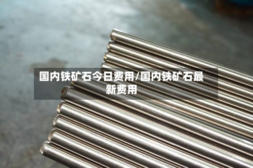 国内铁矿石今日费用/国内铁矿石最新费用