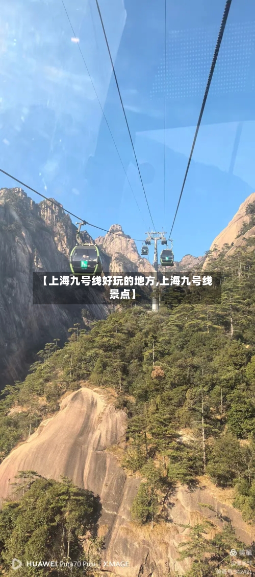 【上海九号线好玩的地方,上海九号线景点】