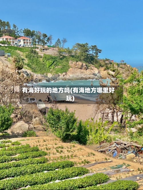 有海好玩的地方吗(有海地方哪里好玩)