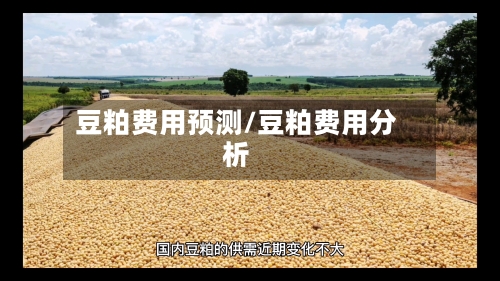 豆粕费用预测/豆粕费用分析-第2张图片