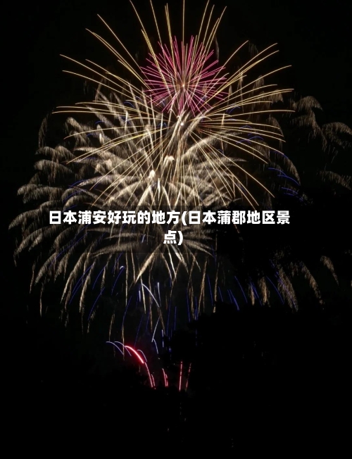 日本浦安好玩的地方(日本蒲郡地区景点)-第3张图片