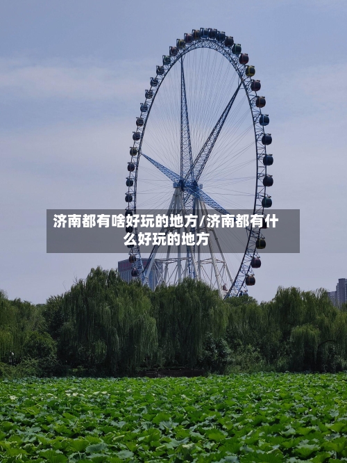 济南都有啥好玩的地方/济南都有什么好玩的地方-第2张图片
