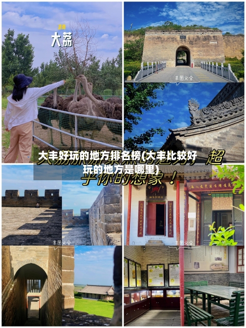 大丰好玩的地方排名榜(大丰比较好玩的地方是哪里)