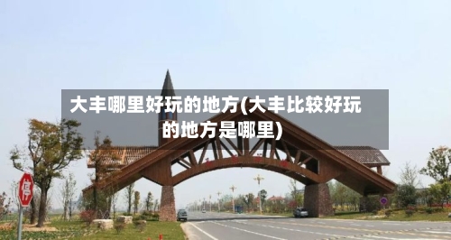大丰哪里好玩的地方(大丰比较好玩的地方是哪里)-第2张图片