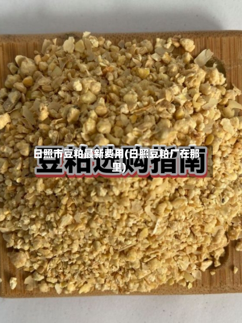 日照市豆粕最新费用(日照豆粕厂在那里)-第2张图片