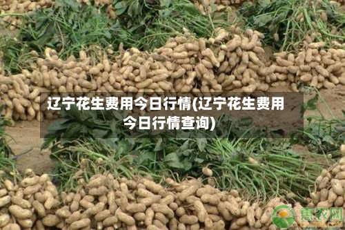 辽宁花生费用今日行情(辽宁花生费用今日行情查询)-第2张图片