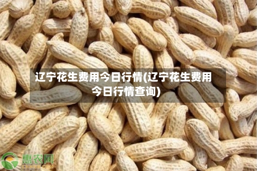 辽宁花生费用今日行情(辽宁花生费用今日行情查询)