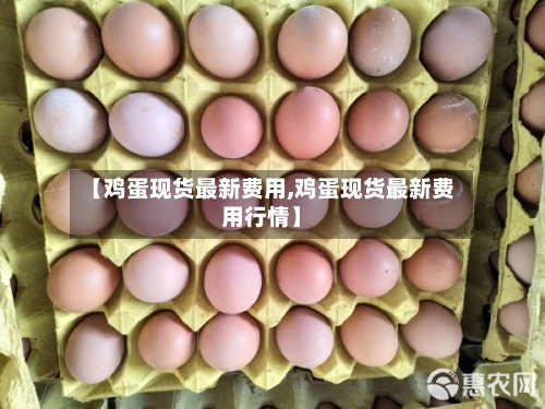 【鸡蛋现货最新费用,鸡蛋现货最新费用行情】-第2张图片