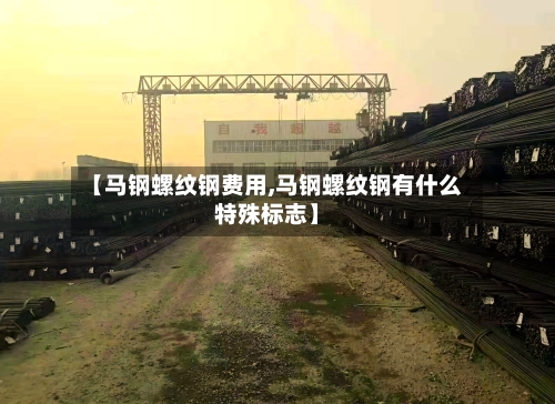 【马钢螺纹钢费用,马钢螺纹钢有什么特殊标志】-第1张图片