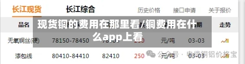 现货铜的费用在那里看/铜费用在什么app上看-第2张图片