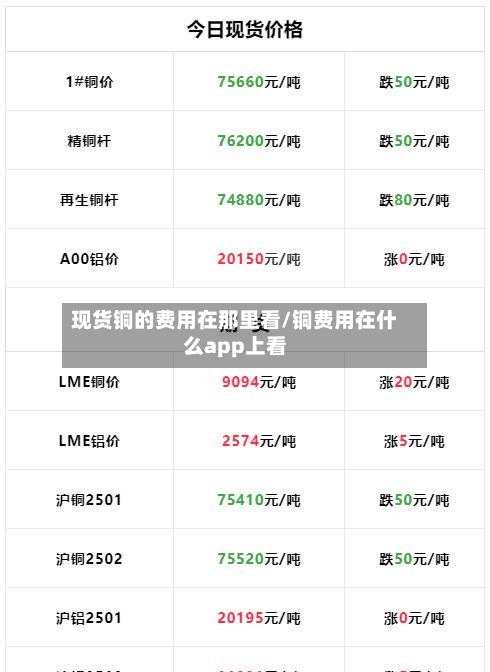 现货铜的费用在那里看/铜费用在什么app上看