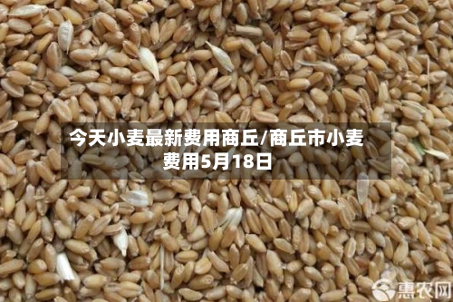 今天小麦最新费用商丘/商丘市小麦费用5月18日-第2张图片