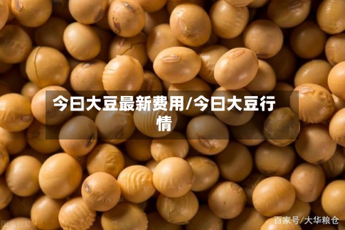 今曰大豆最新费用/今曰大豆行情-第2张图片