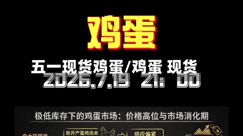 五一现货鸡蛋/鸡蛋 现货