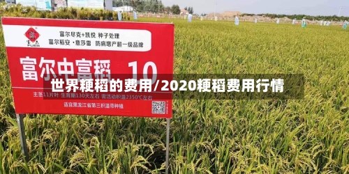 世界粳稻的费用/2020粳稻费用行情