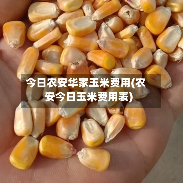今日农安华家玉米费用(农安今日玉米费用表)