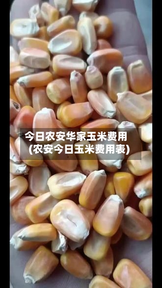 今日农安华家玉米费用(农安今日玉米费用表)-第3张图片