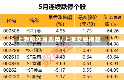 上海所交易费用/上海交易指数-第2张图片