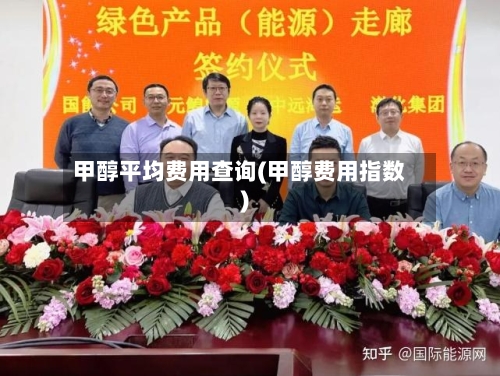 甲醇平均费用查询(甲醇费用指数)