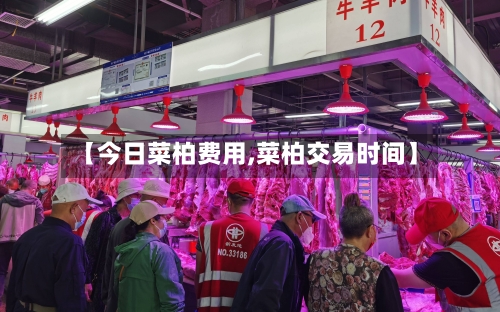 【今日菜柏费用,菜柏交易时间】-第2张图片