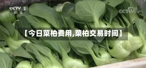 【今日菜柏费用,菜柏交易时间】