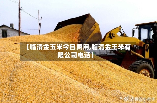 【临清金玉米今日费用,临清金玉米有限公司电话】-第2张图片